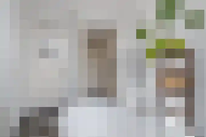 Heemraadssingel 76 A Rotterdam thumbnail 28