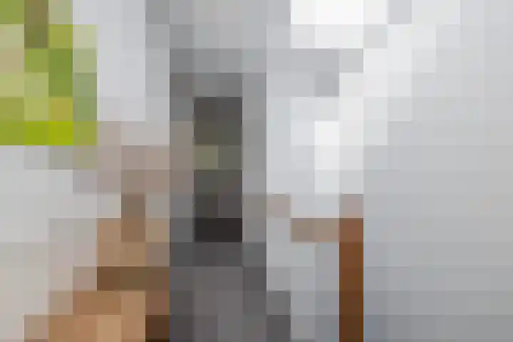 Heemraadssingel 76 A Rotterdam thumbnail 33