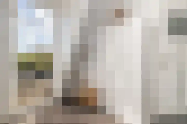 Heemraadssingel 76 A Rotterdam thumbnail 34