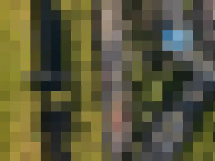 Heemraadssingel 76 A Rotterdam thumbnail 40