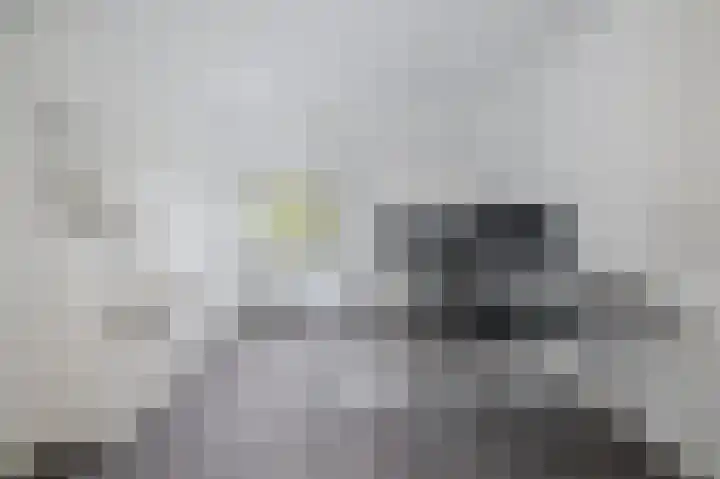 Heemraadssingel 76 A Rotterdam thumbnail 41