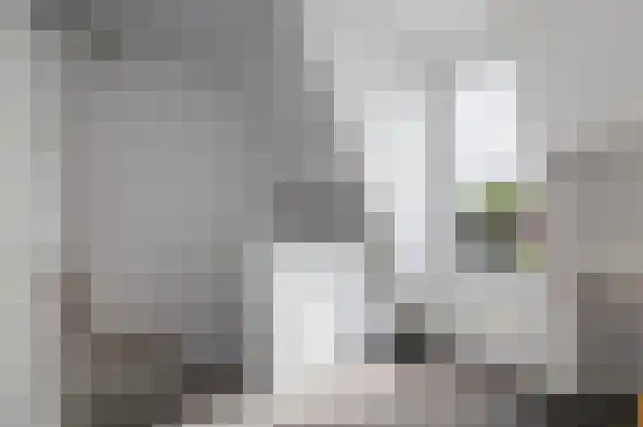 Heemraadssingel 76 A Rotterdam thumbnail 45