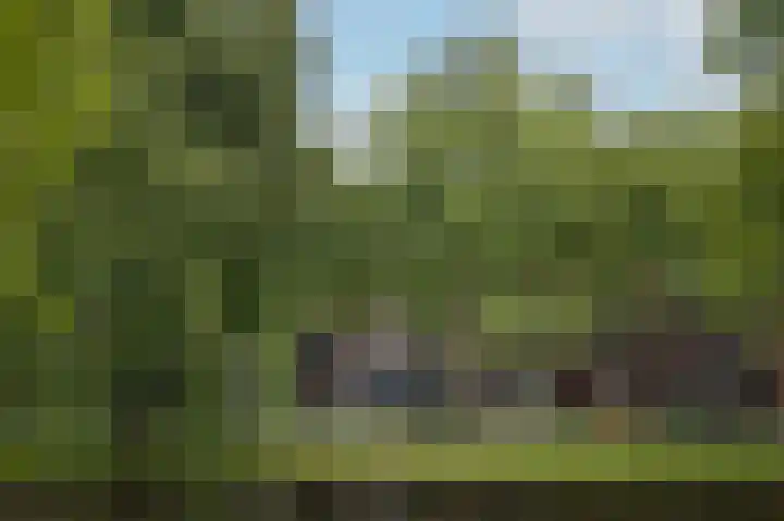 Heemraadssingel 76 A Rotterdam thumbnail 47