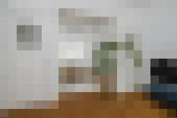 Heemraadssingel 76 A Rotterdam thumbnail 8