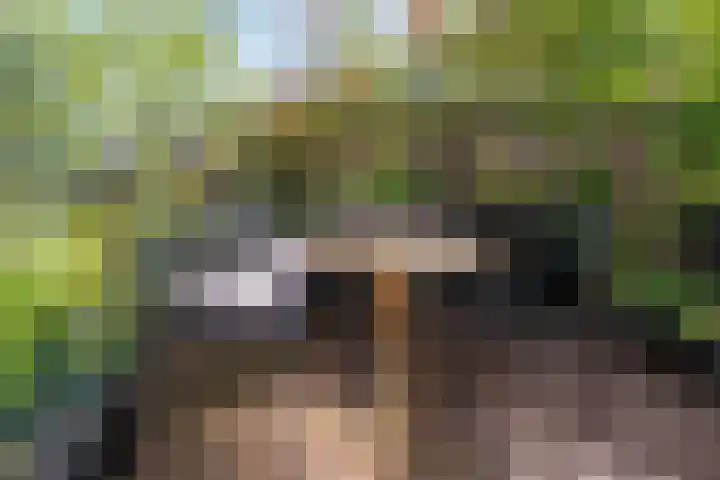 Heemraadssingel 92 D Rotterdam thumbnail 10