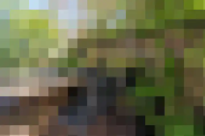 Heemraadssingel 92 D Rotterdam thumbnail 11