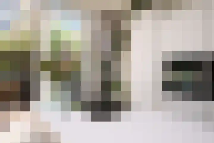 Heemraadssingel 92 D Rotterdam thumbnail 13
