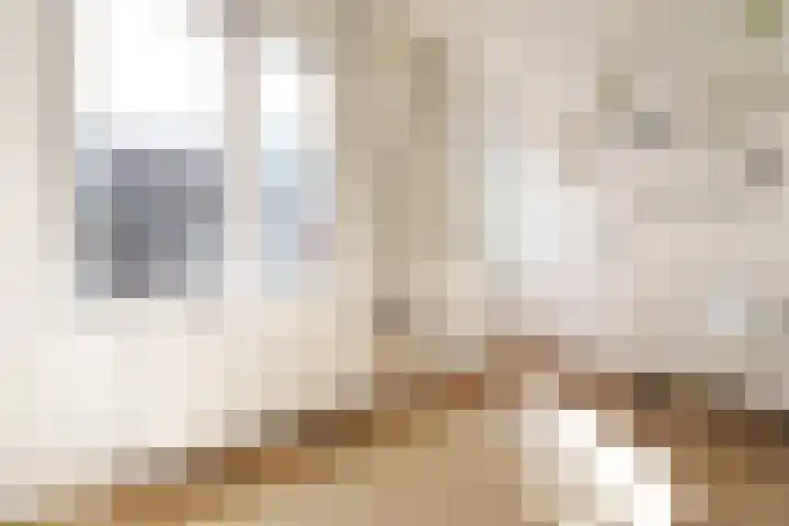 Heemraadssingel 92 D Rotterdam thumbnail 16