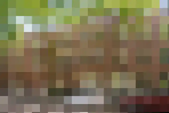 Heemraadssingel 92 D Rotterdam thumbnail 23