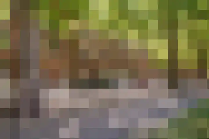 Heemraadssingel 92 D Rotterdam thumbnail 24