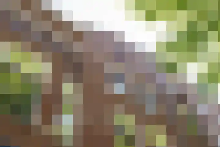 Heemraadssingel 92 D Rotterdam thumbnail 25