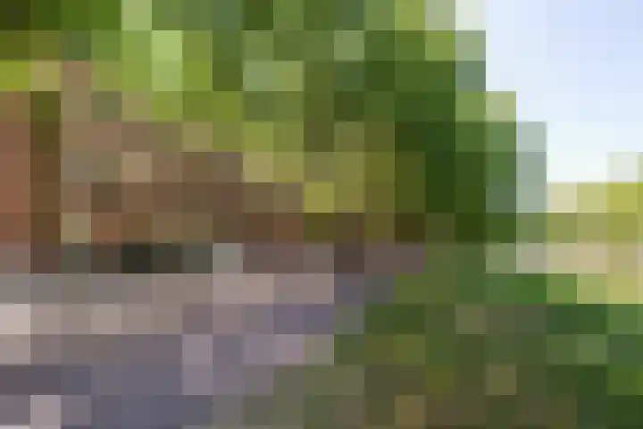 Heemraadssingel 92 D Rotterdam thumbnail 26