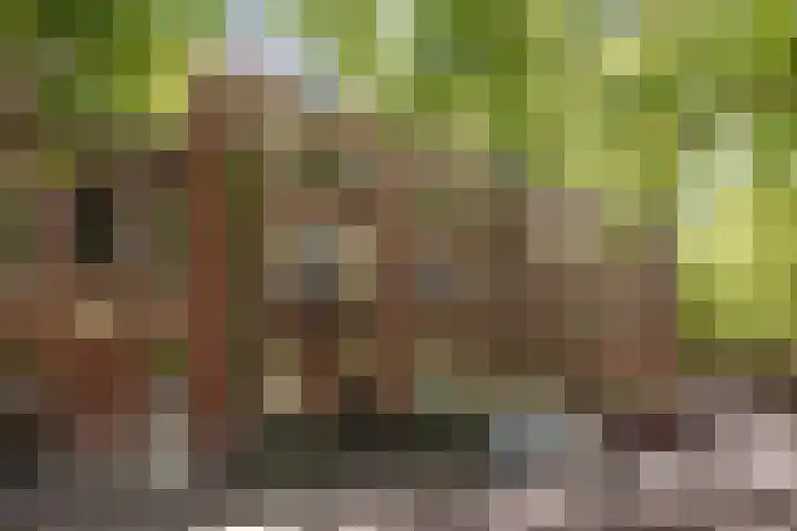 Heemraadssingel 92 D Rotterdam thumbnail 5