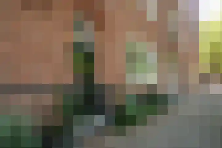 Heemraadssingel 92 D Rotterdam thumbnail 6