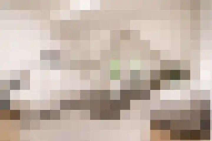 Heemraadssingel 92 D Rotterdam thumbnail 8
