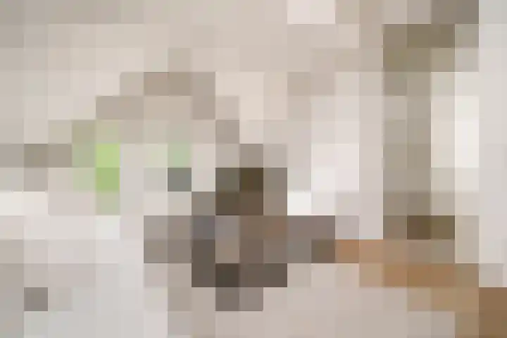 Heemraadssingel 92 D Rotterdam thumbnail 9