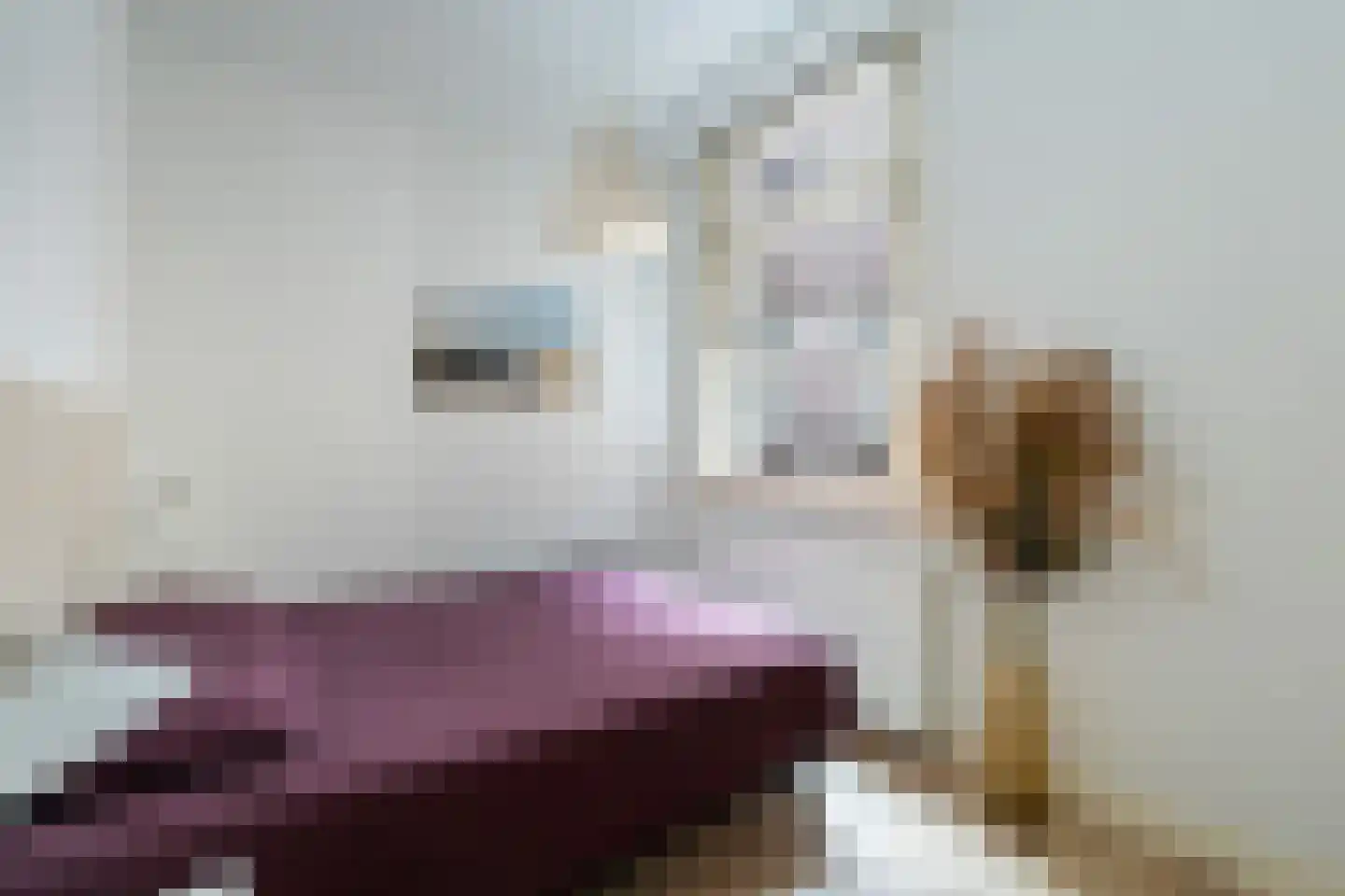 Heemraadssingel 94 F Rotterdam thumbnail 18