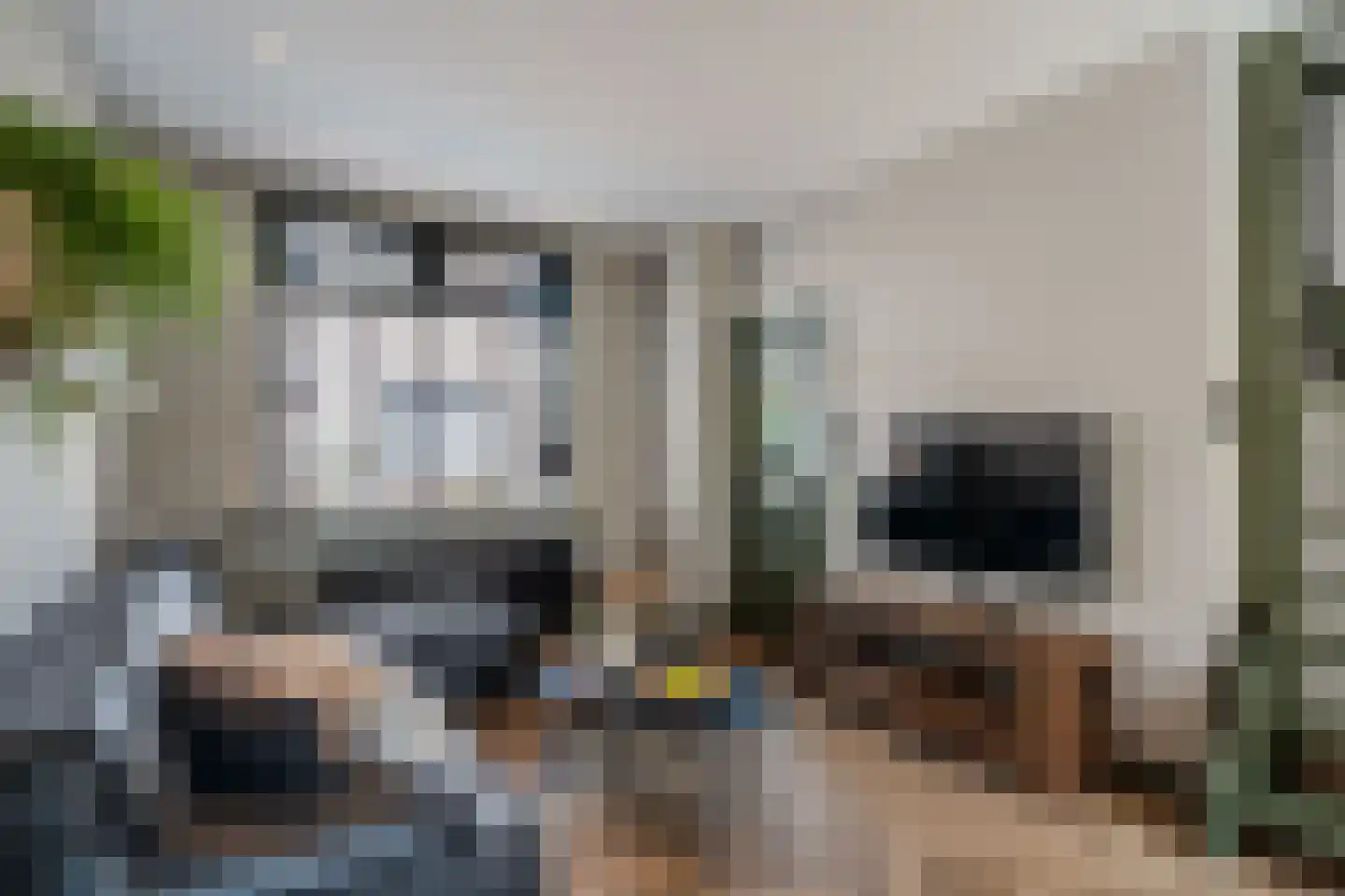 Heemraadstraat 11 Alkmaar thumbnail 16