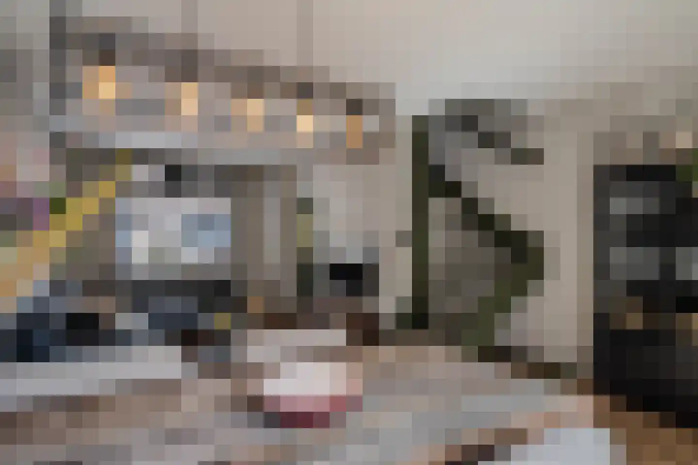 Heemraadstraat 11 Alkmaar thumbnail 20