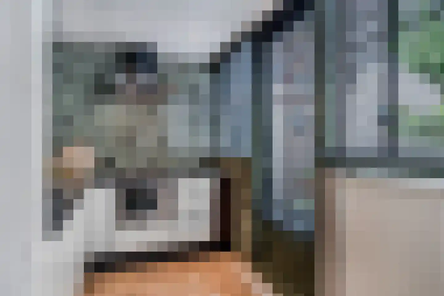 Heemraadstraat 11 Alkmaar thumbnail 22