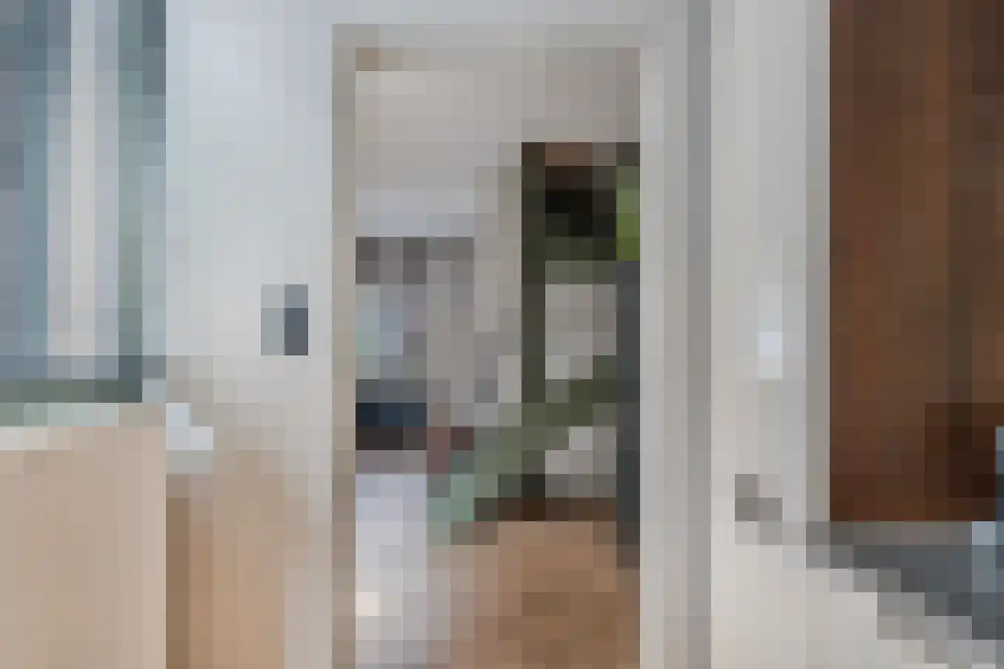 Heemraadstraat 11 Alkmaar thumbnail 24