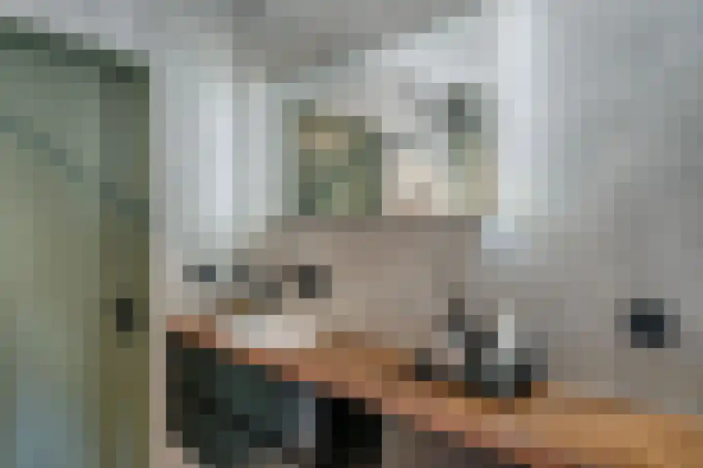Heemraadstraat 11 Alkmaar thumbnail 34