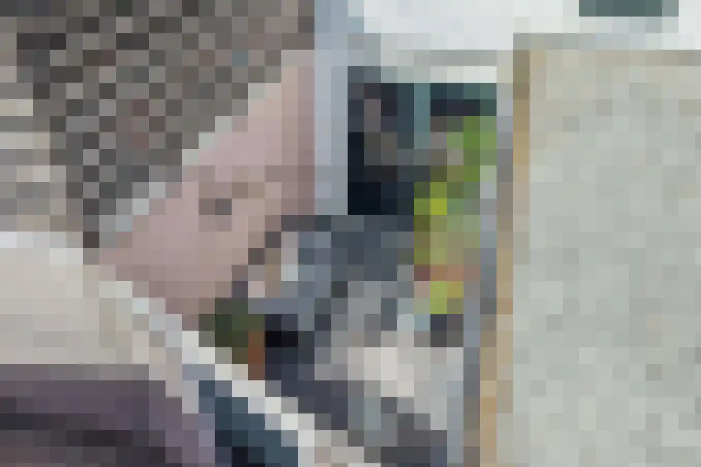 Heemraadstraat 11 Alkmaar thumbnail 46
