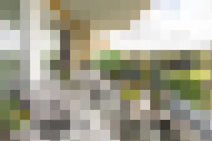 Heemraadstraat 112 Rijswijk thumbnail 14