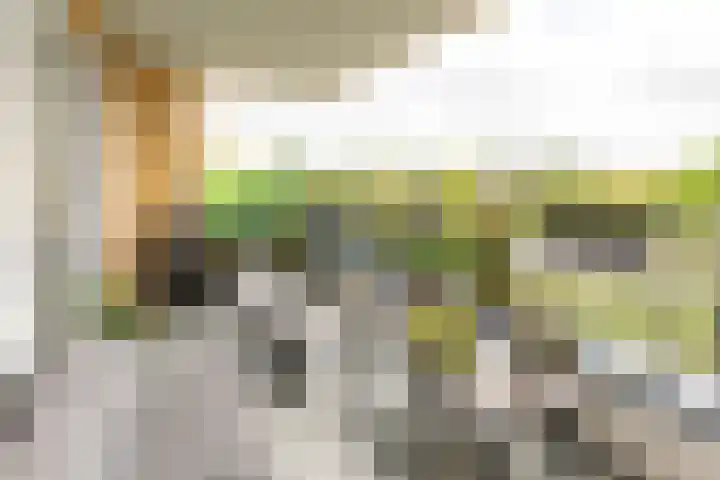 Heemraadstraat 112 Rijswijk thumbnail 15
