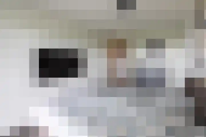 Heemraadstraat 112 Rijswijk thumbnail 18