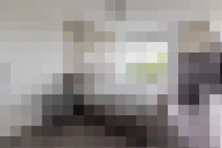 Heemraadstraat 112 Rijswijk thumbnail 19