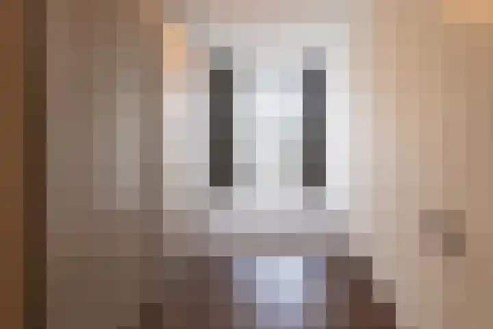 Heemraadstraat 112 Rijswijk thumbnail 22