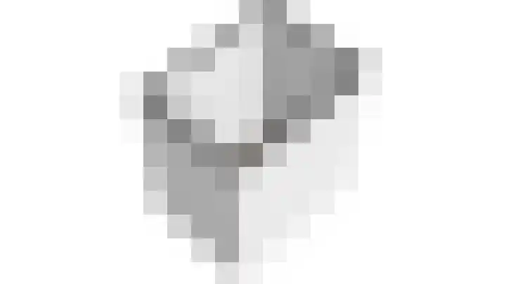 Heemraadstraat 112 Rijswijk thumbnail 31