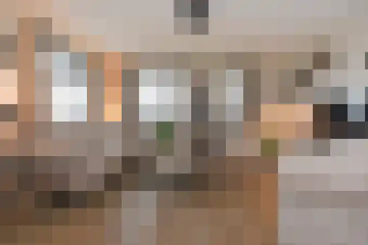 Heemraadstraat 116 Rijswijk thumbnail 10