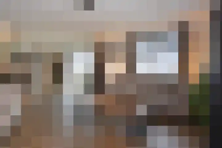 Heemraadstraat 116 Rijswijk thumbnail 13