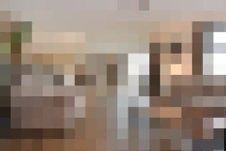 Heemraadstraat 116 Rijswijk thumbnail 14