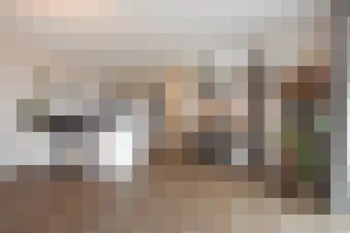Heemraadstraat 116 Rijswijk thumbnail 16