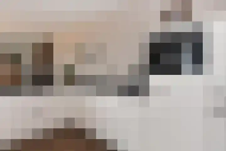 Heemraadstraat 116 Rijswijk thumbnail 19