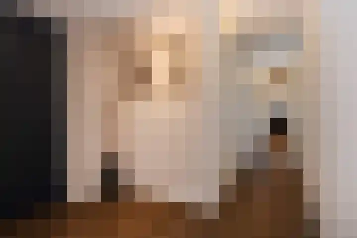 Heemraadstraat 116 Rijswijk thumbnail 26