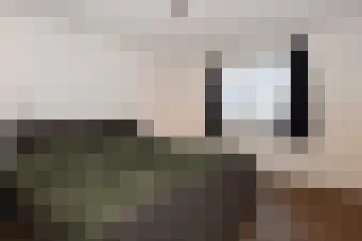 Heemraadstraat 116 Rijswijk thumbnail 28