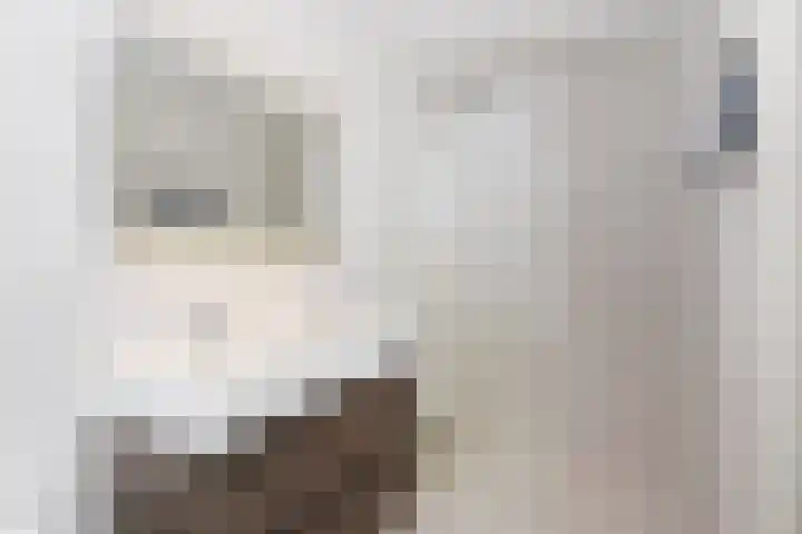 Heemraadstraat 116 Rijswijk thumbnail 30