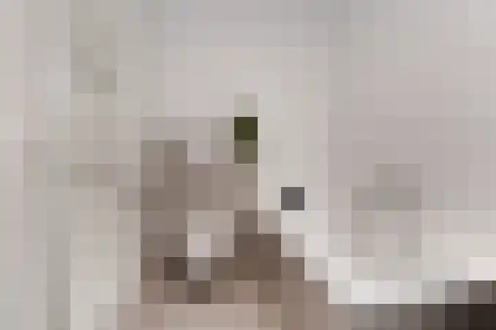 Heemraadstraat 116 Rijswijk thumbnail 31