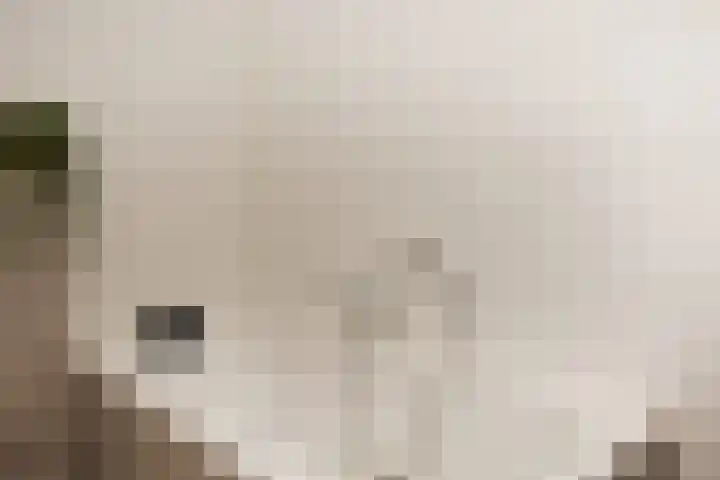 Heemraadstraat 116 Rijswijk thumbnail 32
