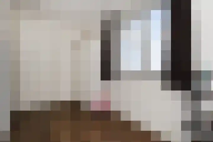 Heemraadstraat 116 Rijswijk thumbnail 33