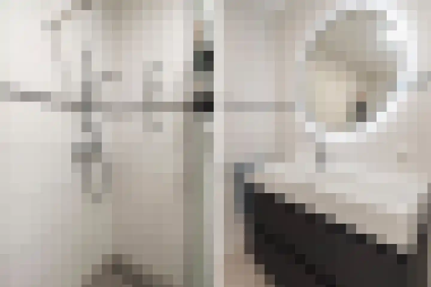 Heemraadstraat 122 Rijswijk thumbnail 35