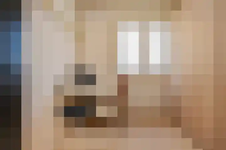 Heemraadstraat 138 Rijswijk thumbnail 27