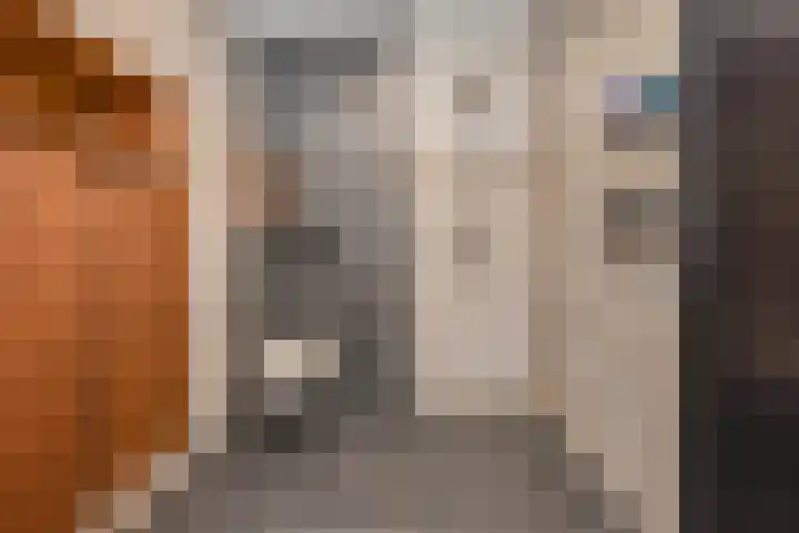 Heemraadstraat 138 Rijswijk thumbnail 28