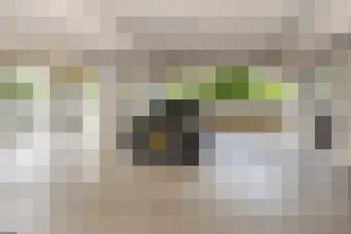 Heemraadstraat 138 Rijswijk thumbnail 32