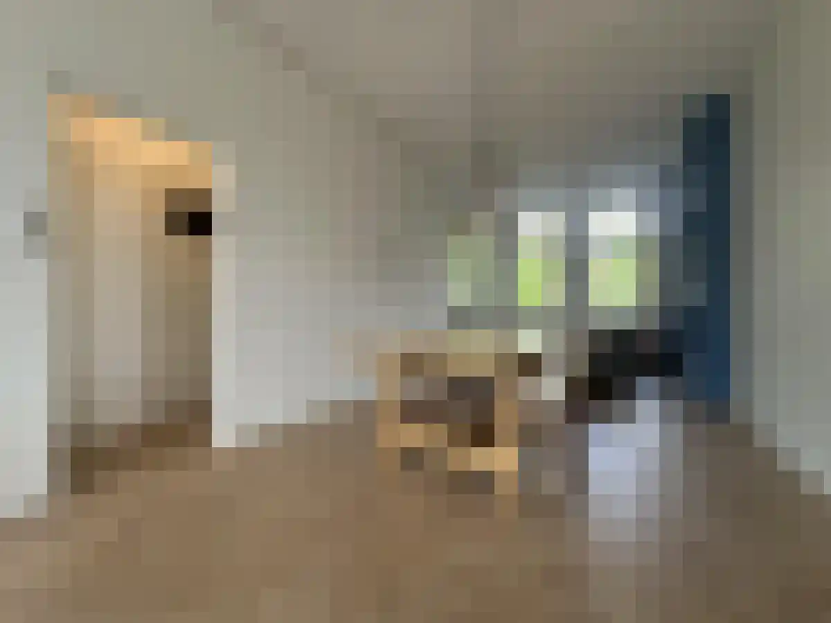Heemraadstraat 18 Rotterdam thumbnail 6