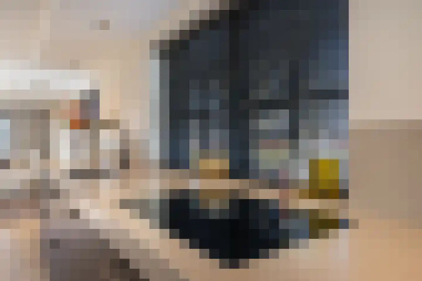 Heemraadstraat 2 Hoenzadriel thumbnail 14
